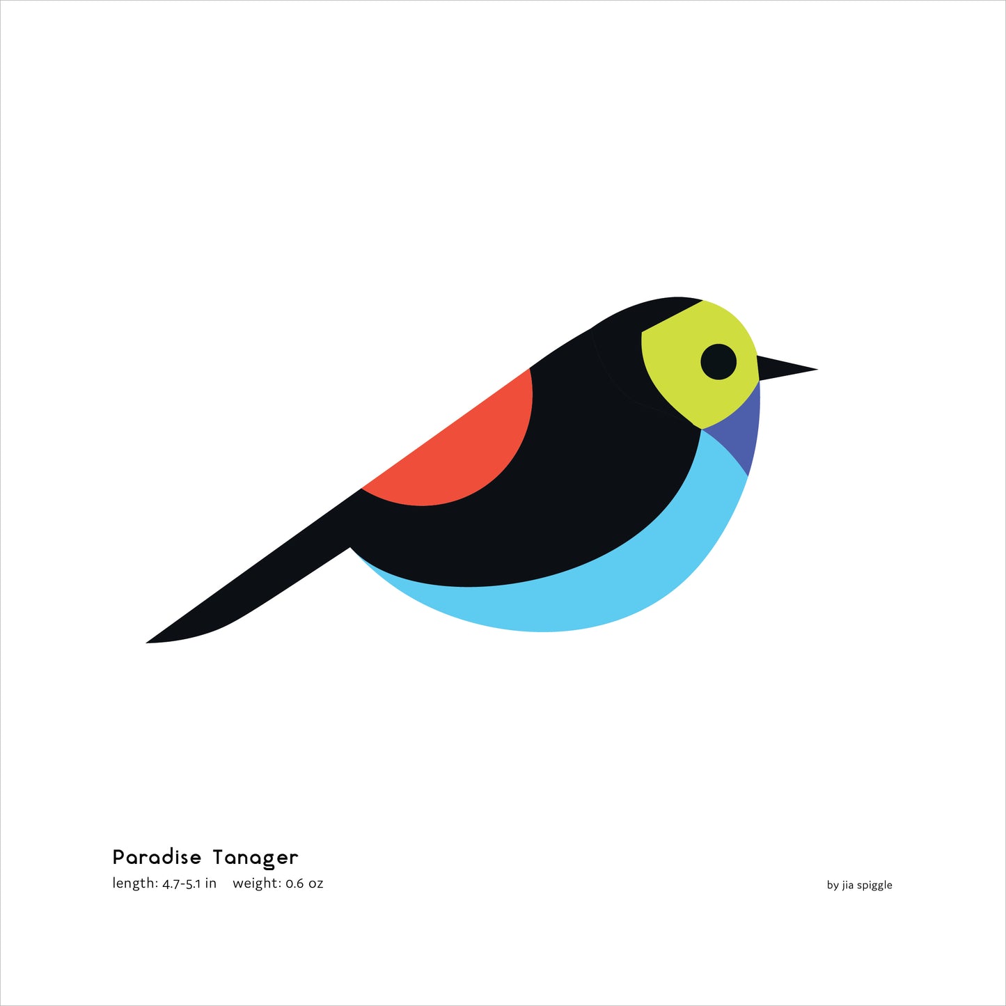 Paradise Tanager Art Print