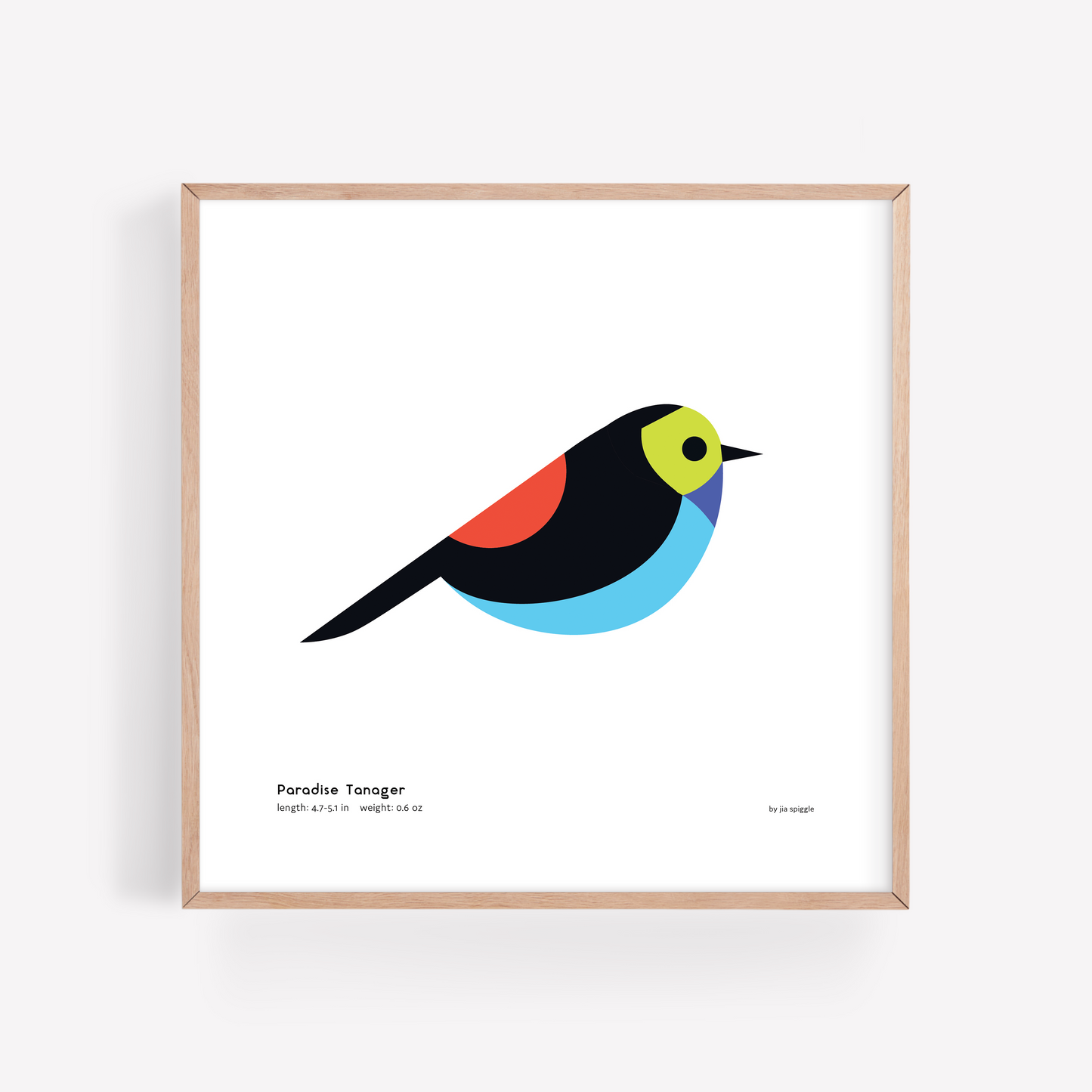 Paradise Tanager Art Print