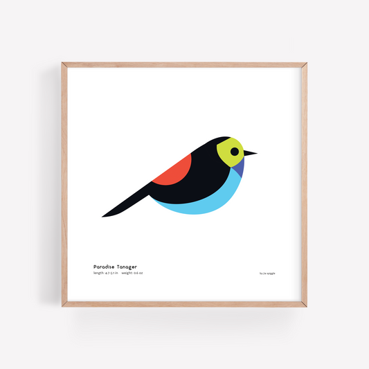 Paradise Tanager Art Print