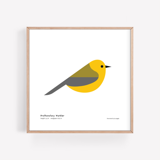 Prothonatory Warbler Art Print