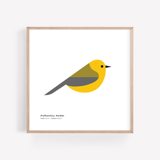 Prothonotary Warbler Art Print