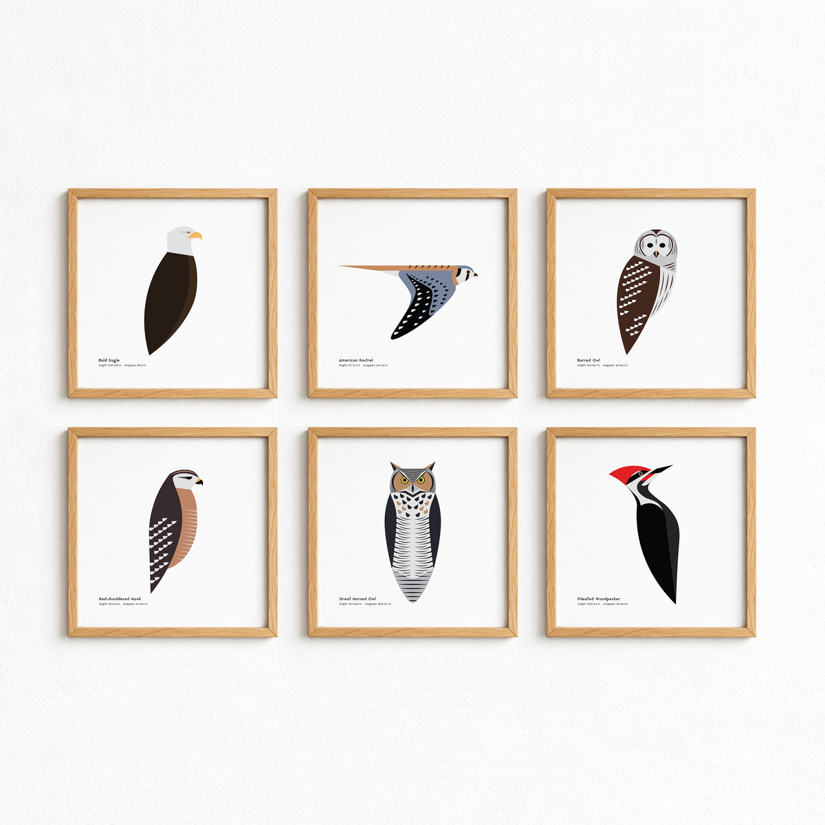 Pileated Woodpecker Art Print