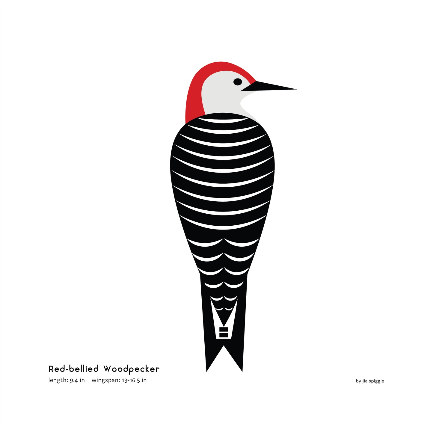 Red-bellied Woodpecker Art Print
