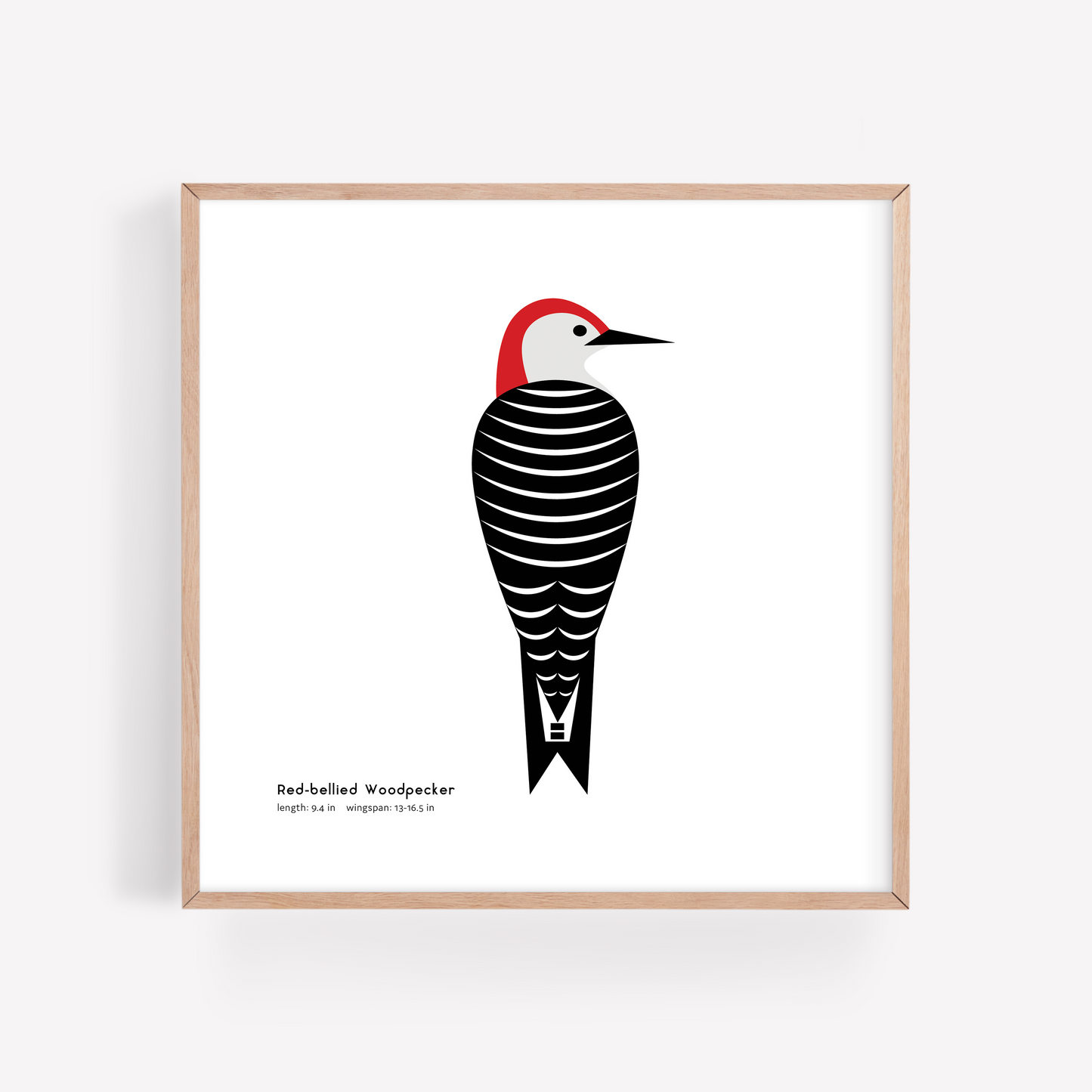 Red-bellied Woodpecker Art Print