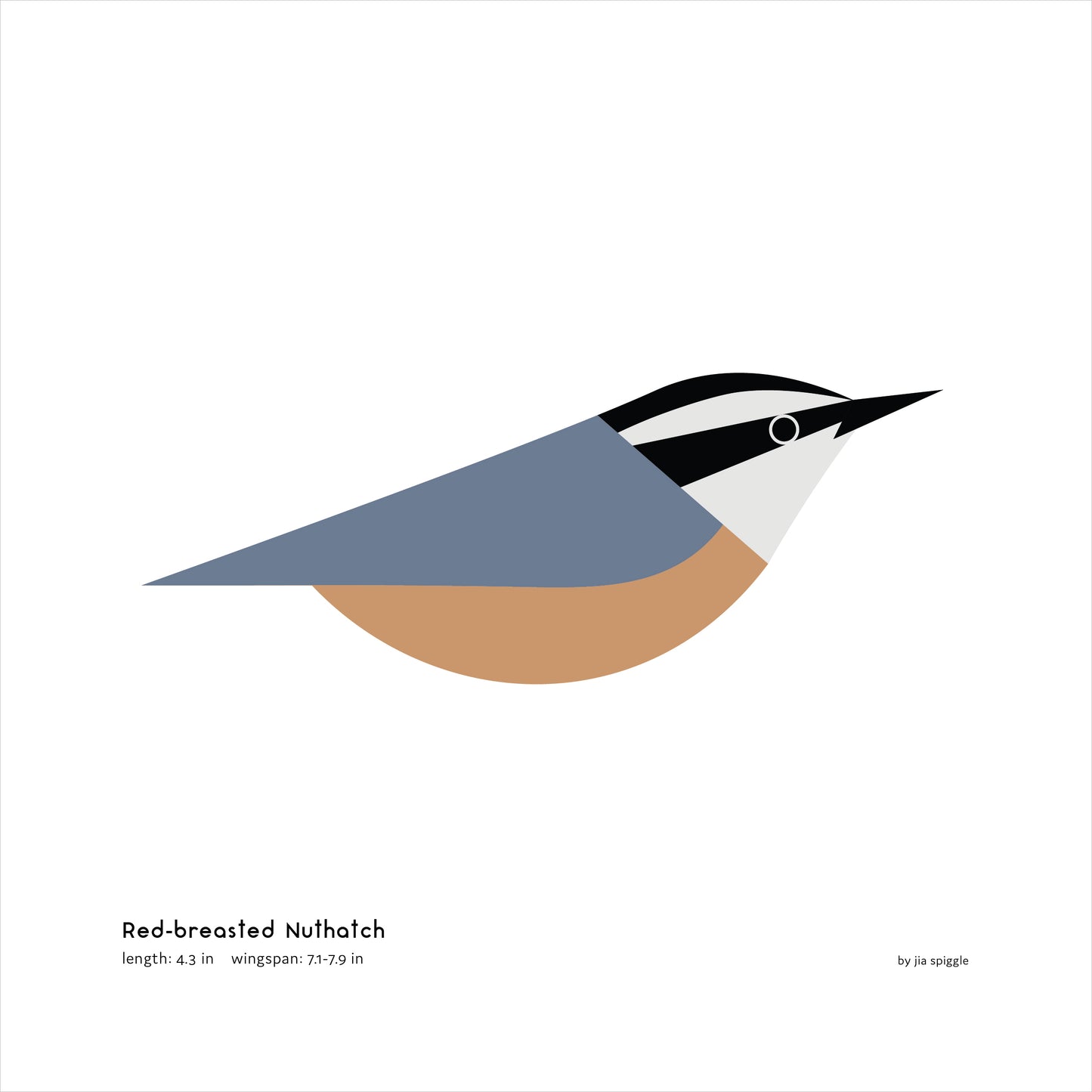 Red-breasted Nuthatch Art Print