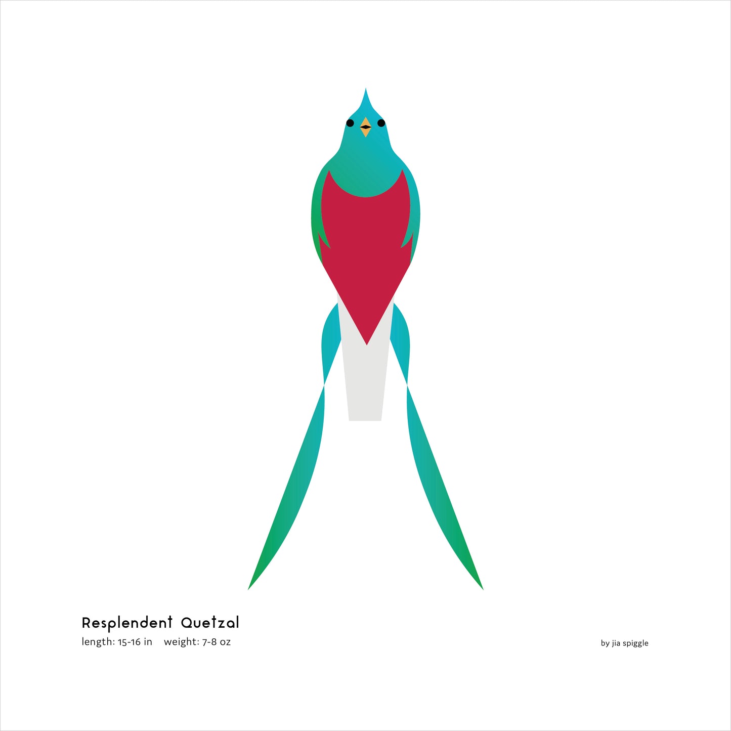 Resplendent Quetzal Art Print