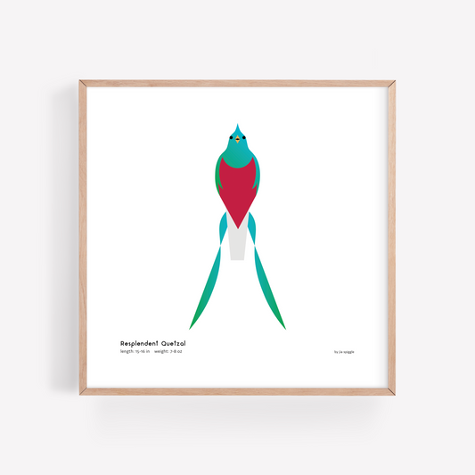 Resplendent Quetzal Art Print