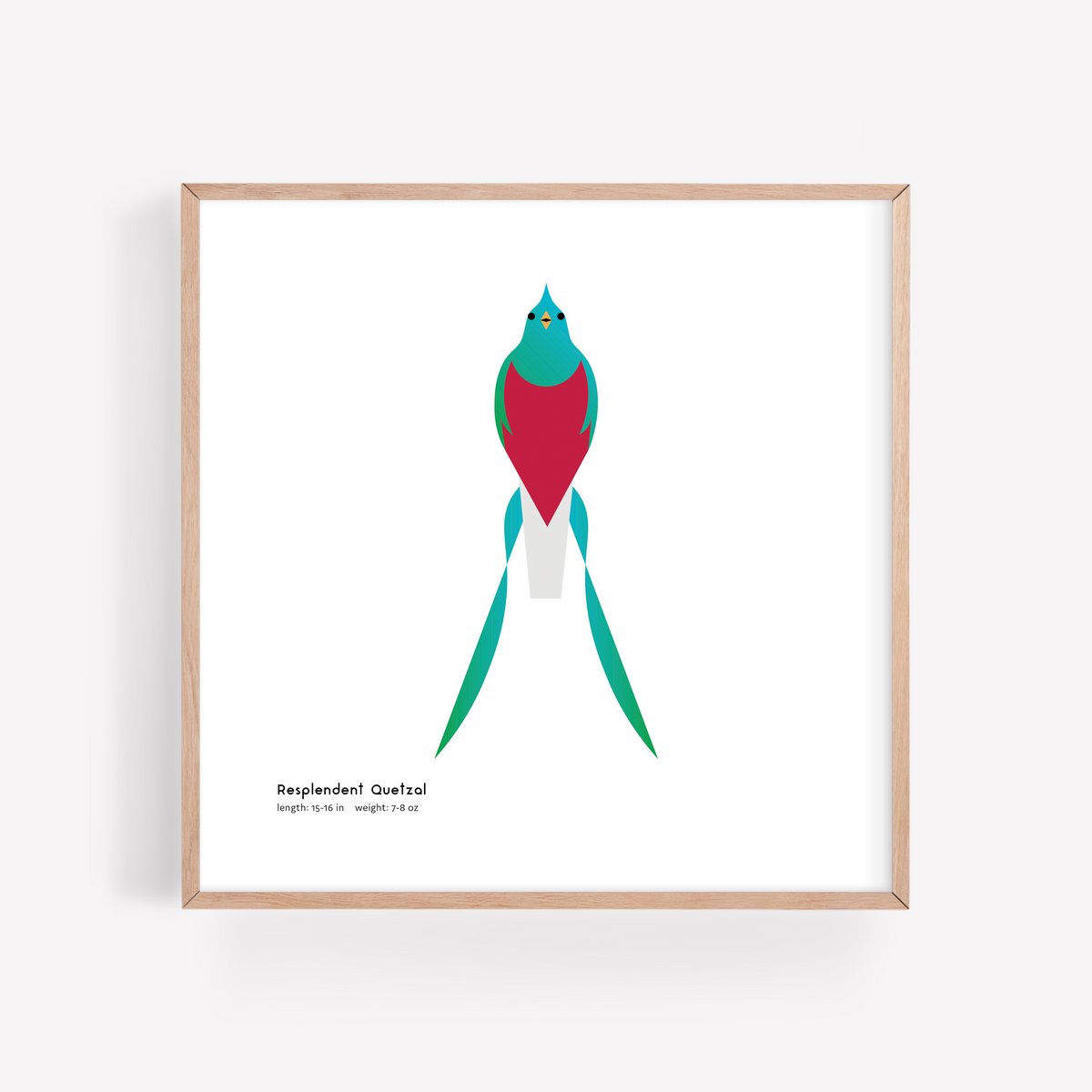 Resplendent Quetzal Art Print