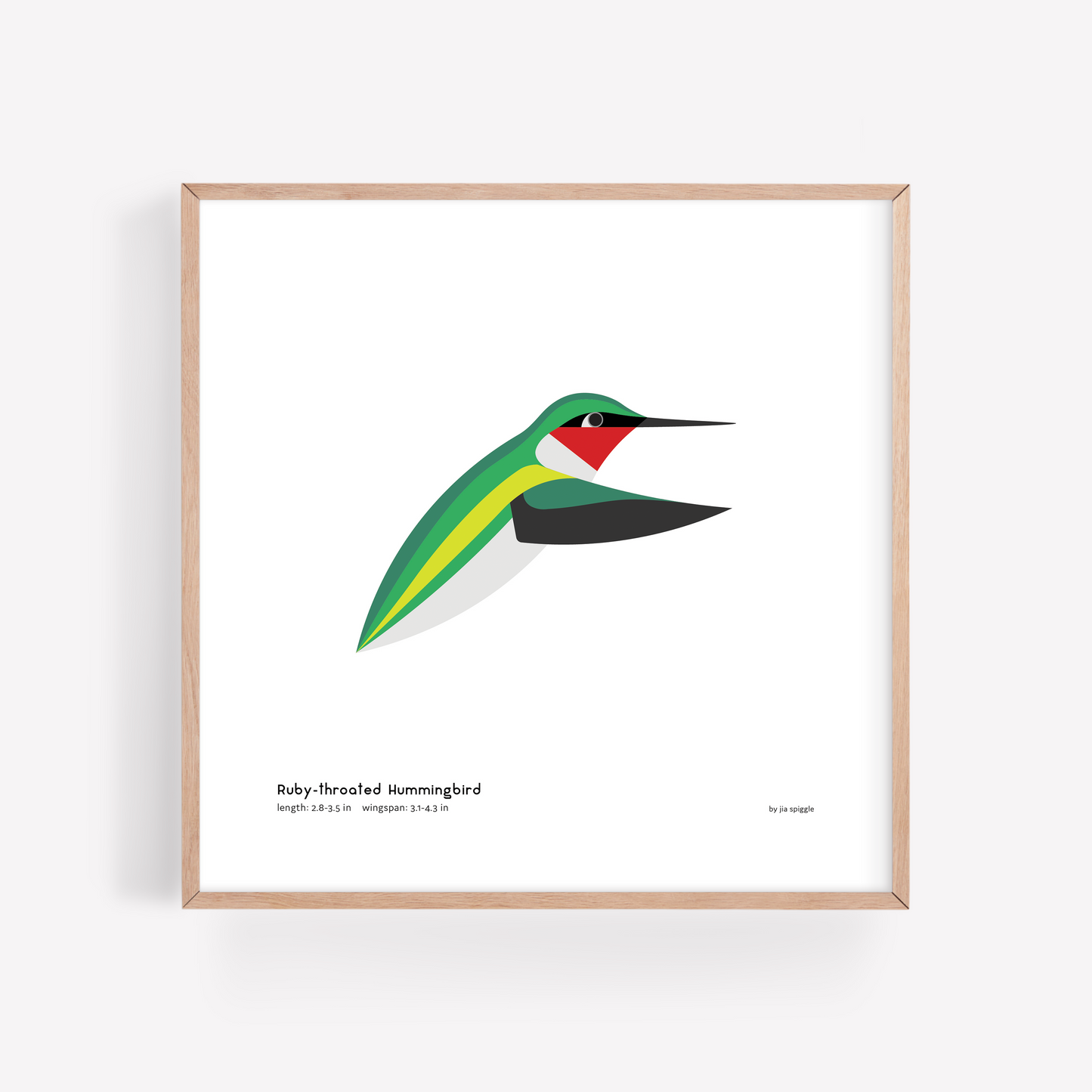 Ruby-throated Hummingbird Art Print