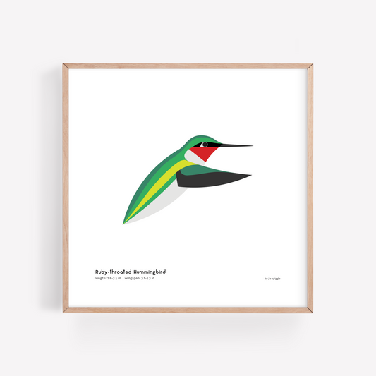 Ruby-throated Hummingbird Art Print