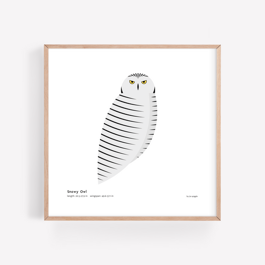 Snowy Owl Art Print