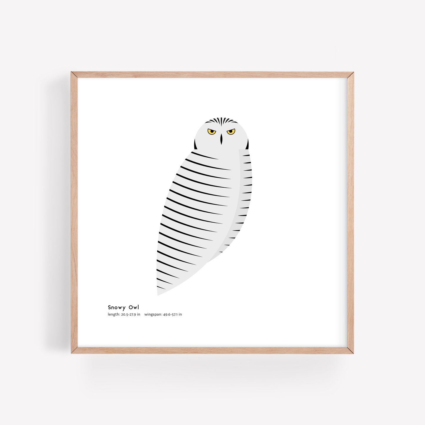 Snowy Owl Art Print