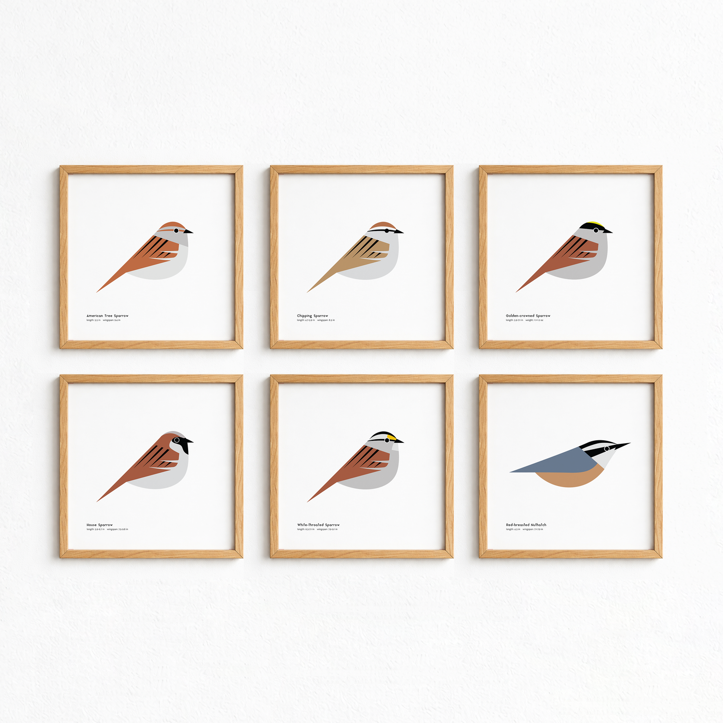 American Tree Sparrow Art Print