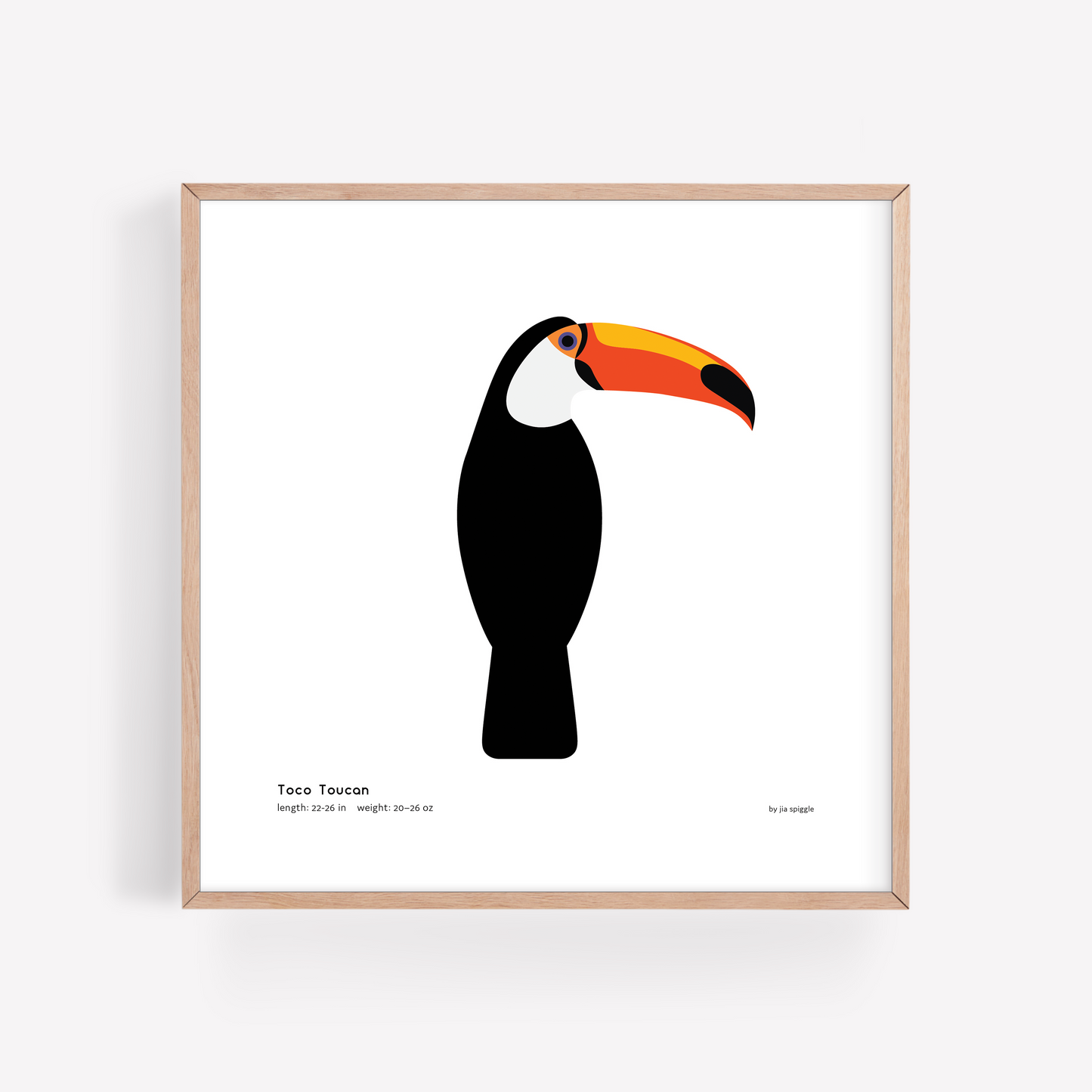 Toco Toucan Art Print