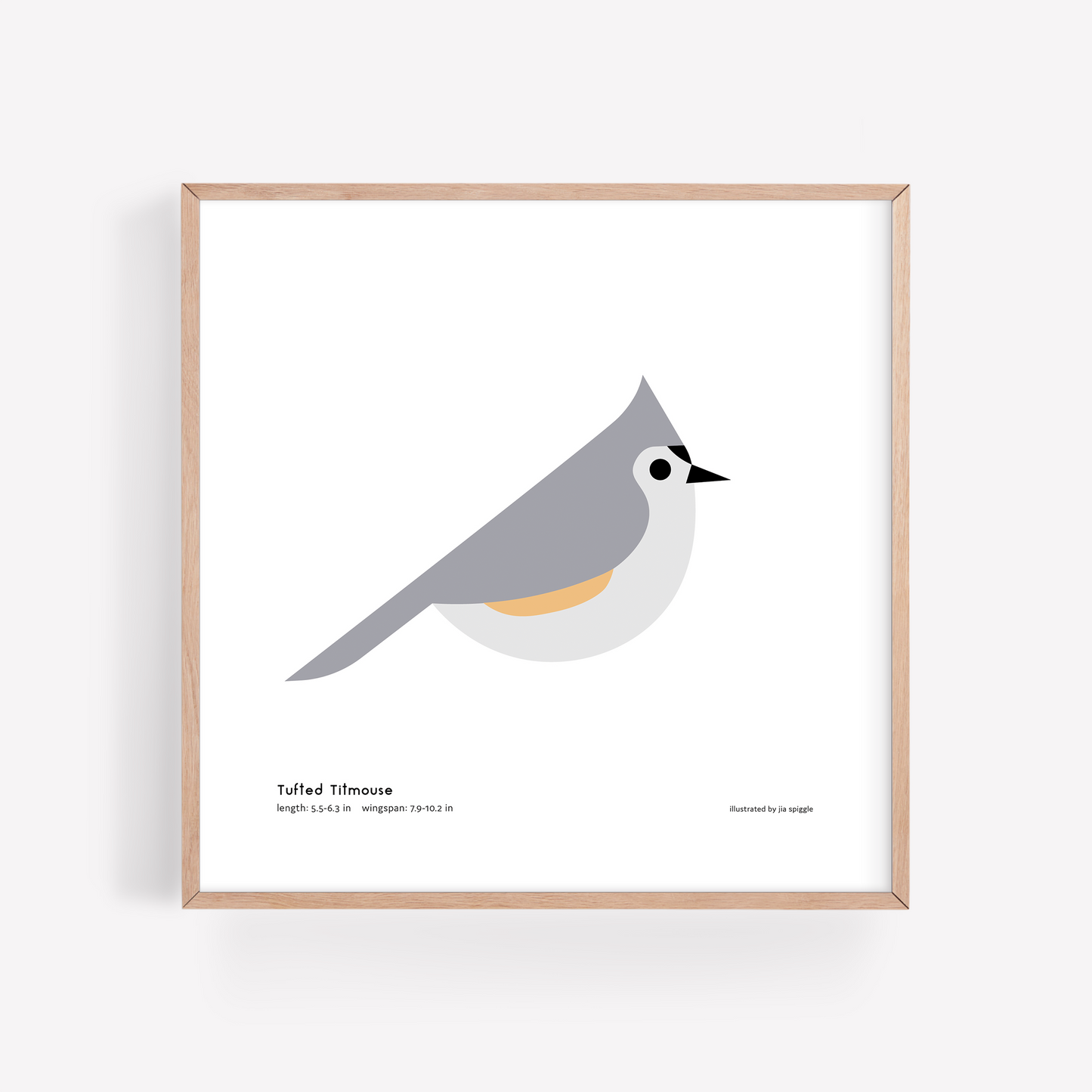 Tufted Titmouse Art Print