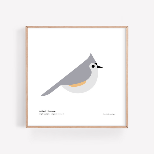 Tufted Titmouse Art Print