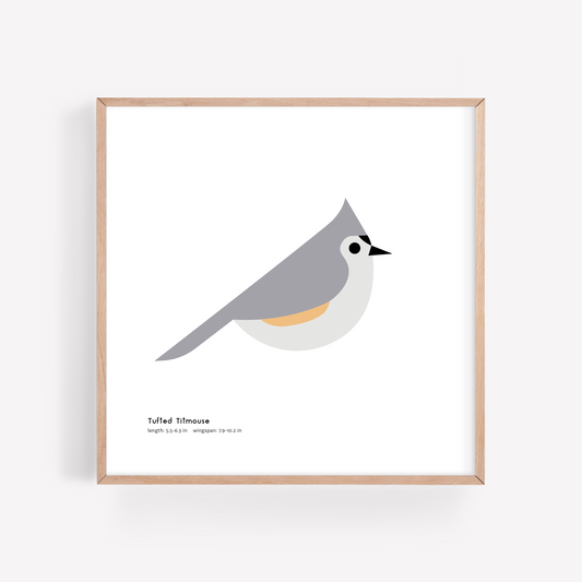 Tufted Titmouse Art Print