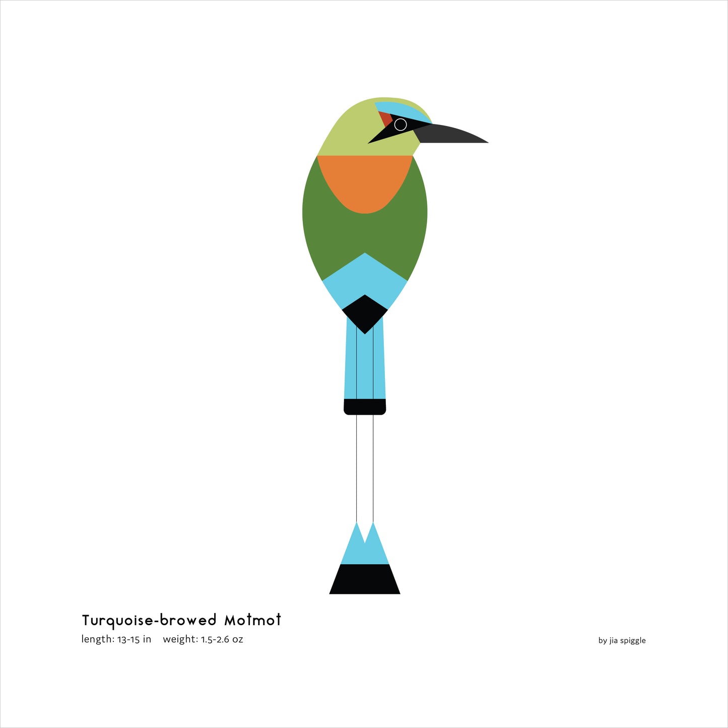 Turquoise-browed Motmot Art Print
