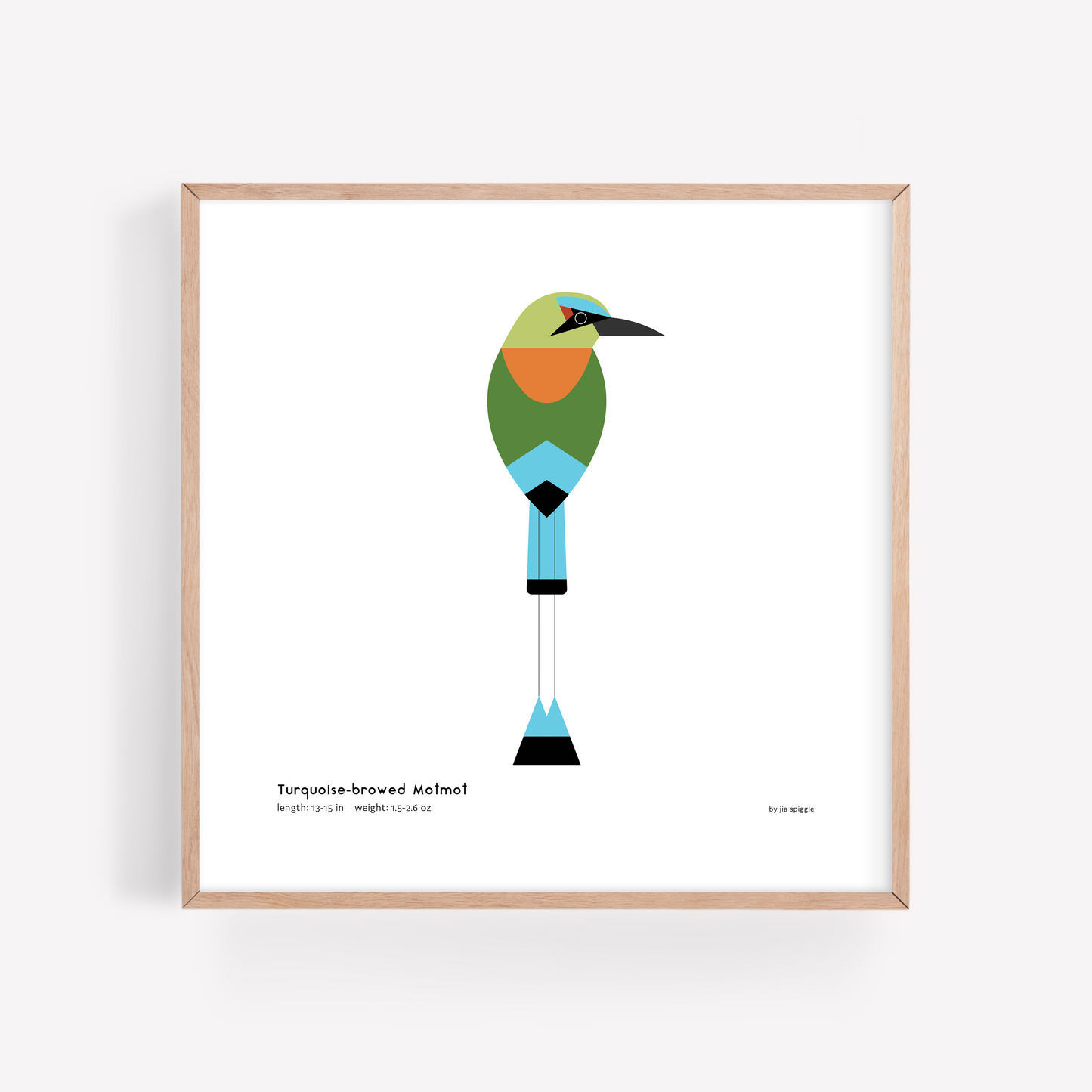 Turquoise-browed Motmot Art Print