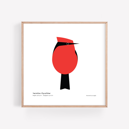 Vermilion Flycatcher Art Print