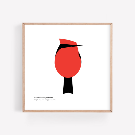 Vermilion Flycatcher Art Print
