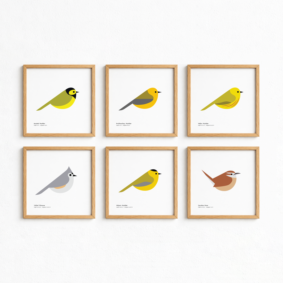 Hooded Warbler Art Print