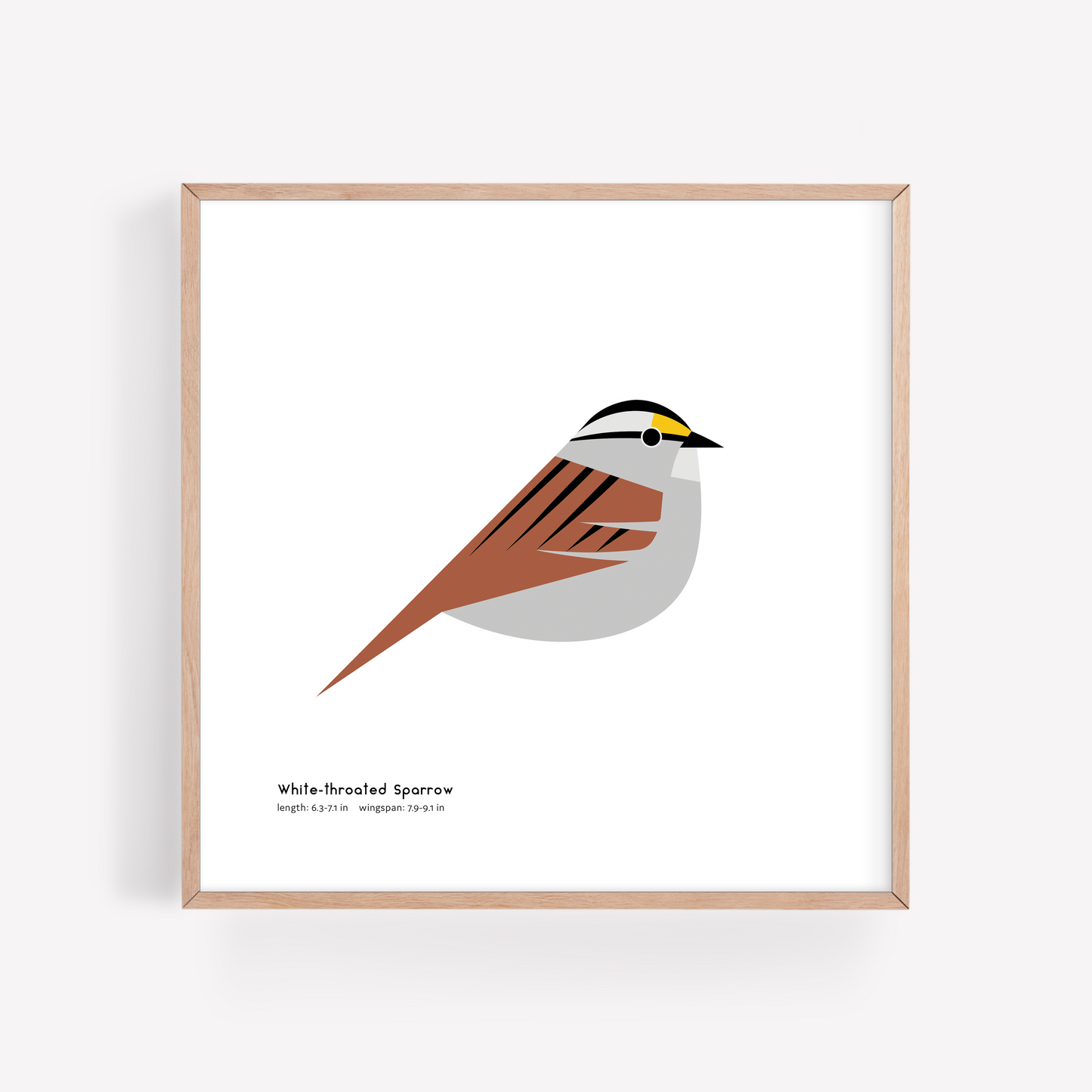 White-throated Sparrow Art Print