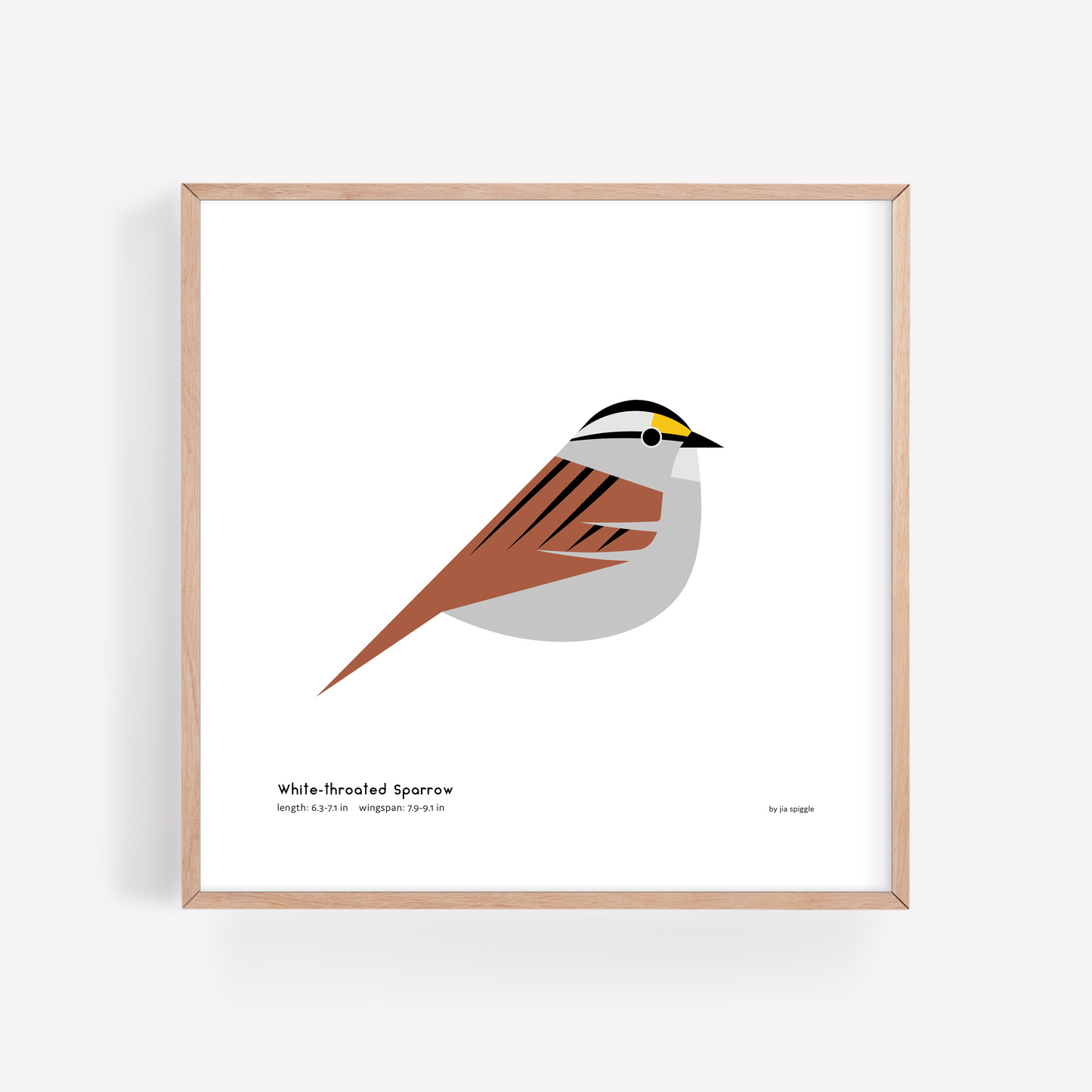 White-throated Sparrow Art Print