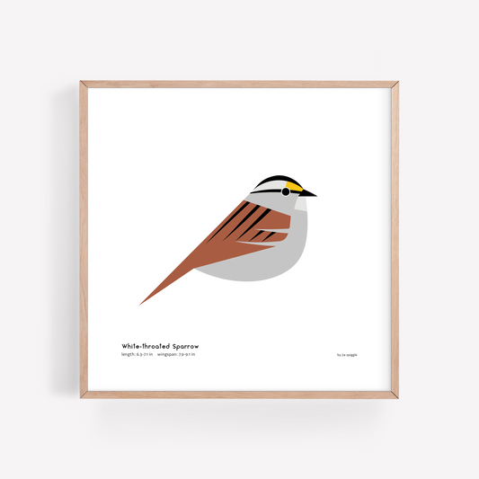 White-throated Sparrow Art Print