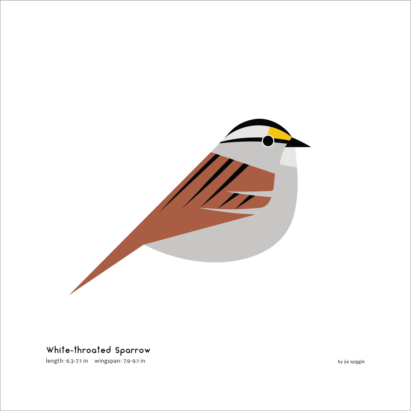 White-throated Sparrow Art Print