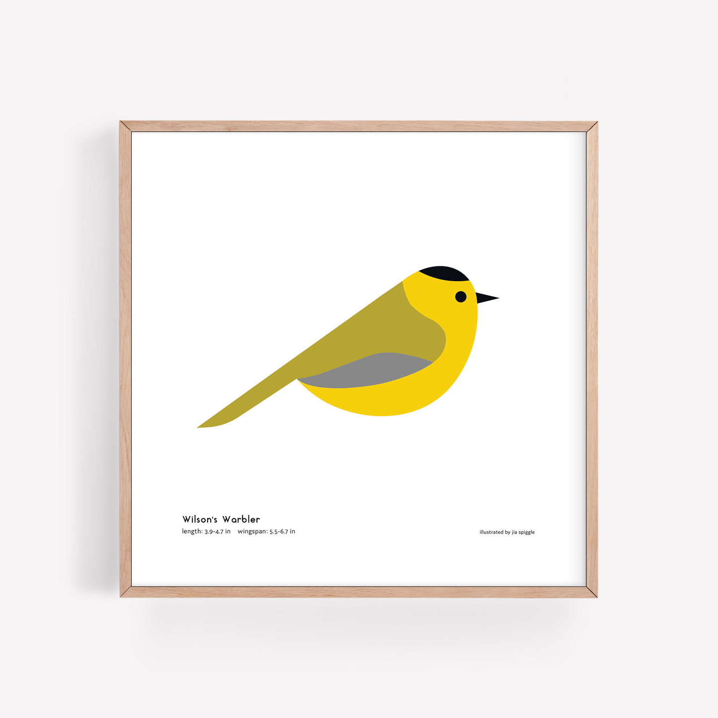 Wilson's Warbler Art Print