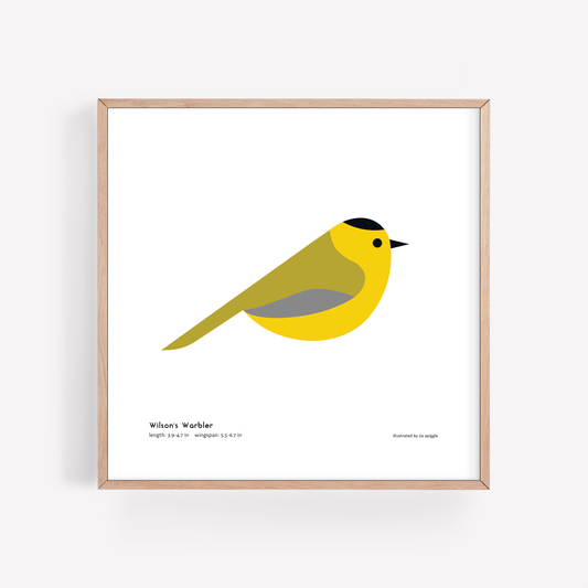 Wilson's Warbler Art Print