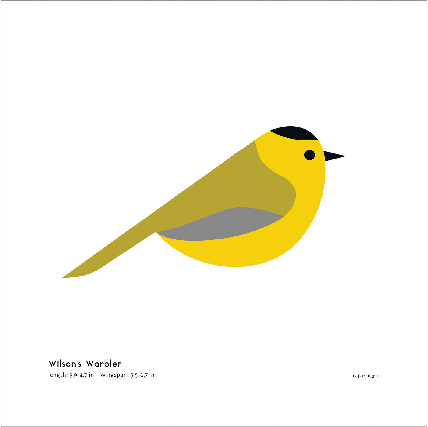 Wilson's Warbler Art Print