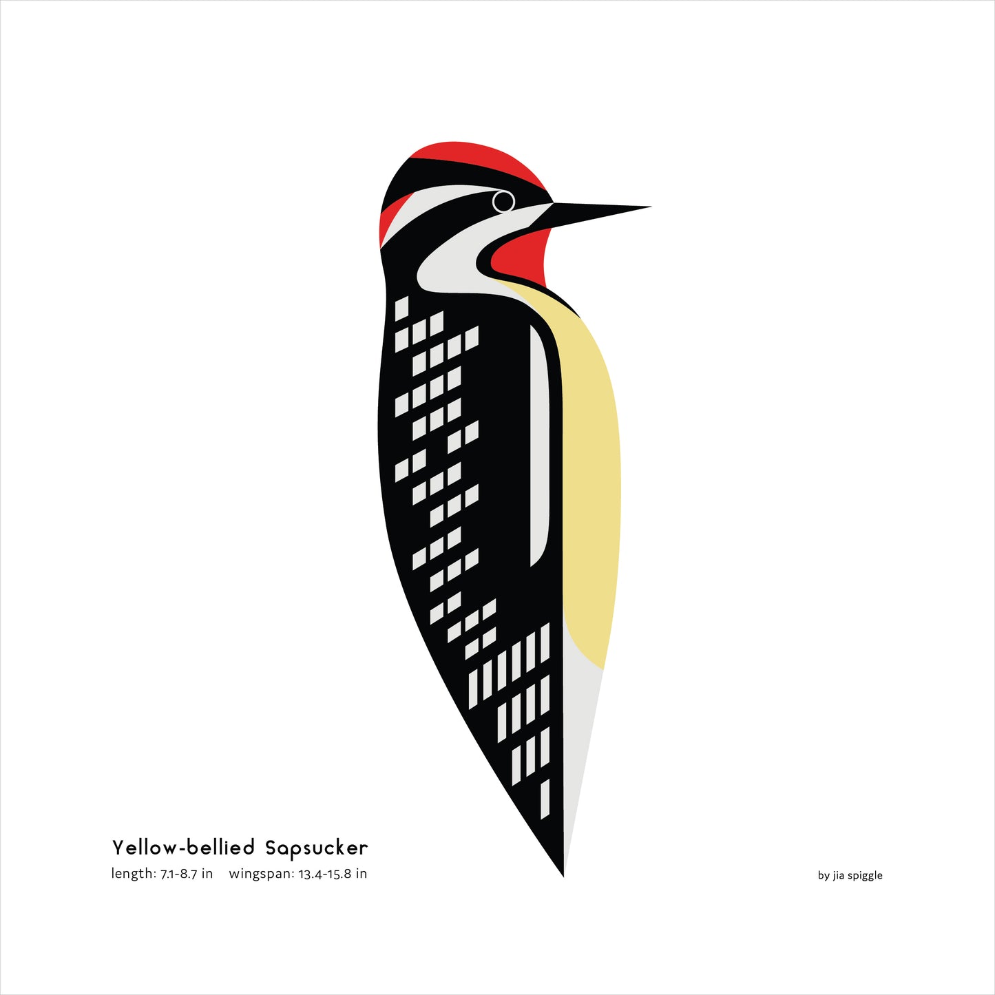 Yellow-bellied Sapsucker Art Print