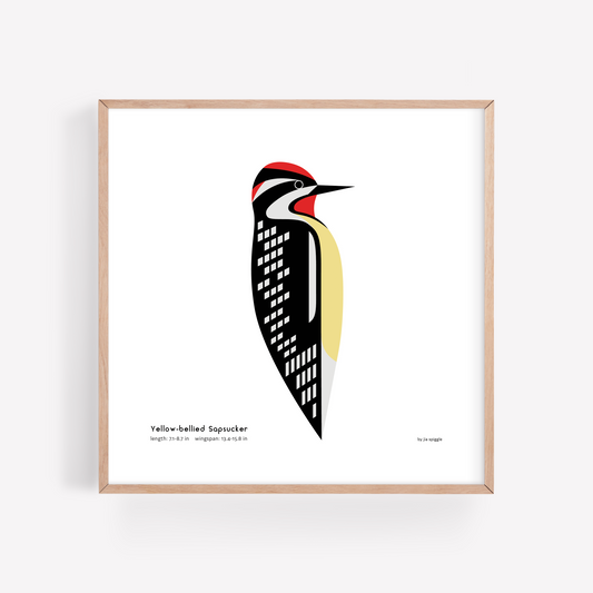Yellow-bellied Sapsucker Art Print