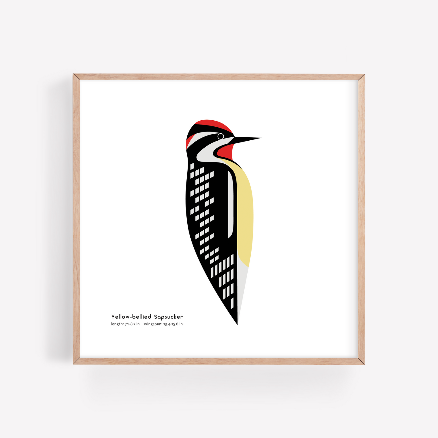 Yellow-bellied Sapsucker Art Print