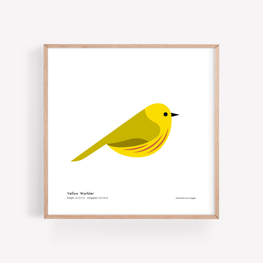 Yellow Warbler Art Print